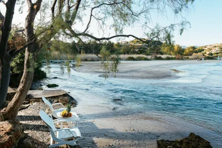 lounge chairs on the beach