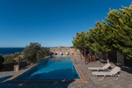 swimming pool and trees