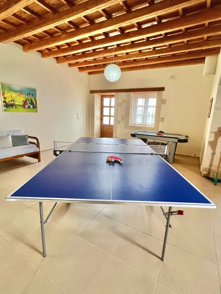   ping pong table