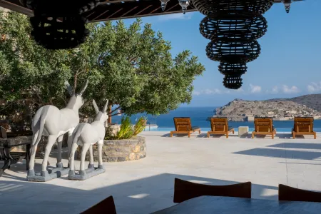  donkeys and sunbeds