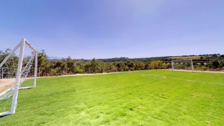 football field