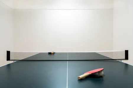  ping pong table