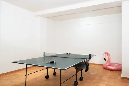  ping pong table