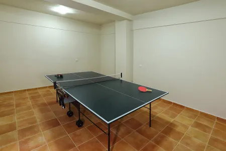   ping pong table