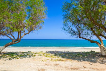  beach nearby