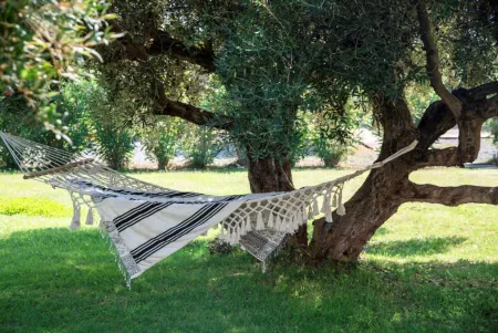  hammock