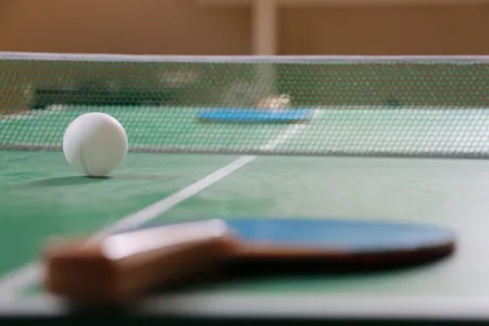  ping-pong table