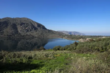  lake and grass