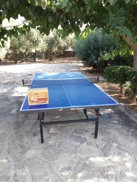  Ping pong table