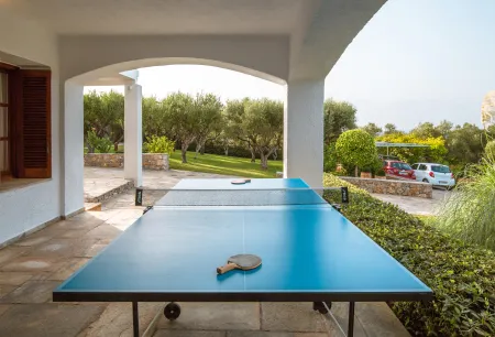  ping pong table