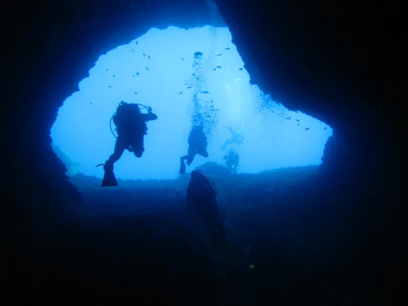 La grotte des éléphants