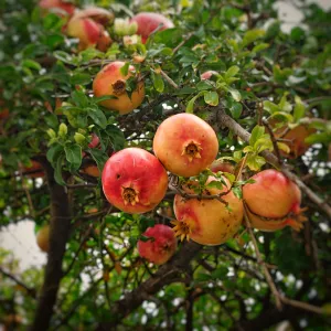 Crète en novembre: une sensation de bien-être